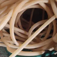 شلنگ اب