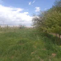 فروش ۳ باغ با قیمت متفاوت. خانه روستای|فروش دفتر صنعتی، کشاورزی، تجاری|زنجان, |دیوار