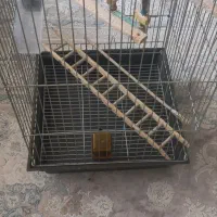 قفس بزرگ