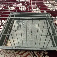 قفس خرگوش بزرگ
