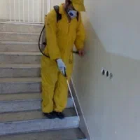 سمپاشی موریانه زدایی سوسک ساس موش منازل سم‌پاشی