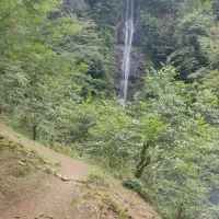 طبیعت گردی با پاترول