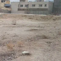 زمین ۲۴۳ متری حکیم شفاهی سوم