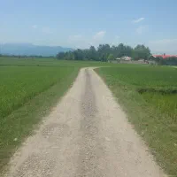 ۸۵۰متری
