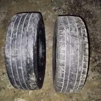 لاستیک تیوبلس