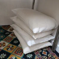 فروش بالش پر