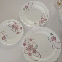 سرویس بشقاب آیروپال