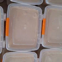 فروش حلوا ارده