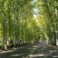 اجاره ویلایی ۱۲۰۰متری داخل دهکده فول بازسازی