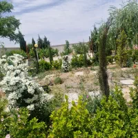 فروش ۴۰ قصب زمین