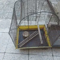 قفس پرنده