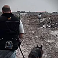 مربی سگ/آموزش سگ/تربیت سگ/پانسیون سگ