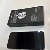13 pro max 512