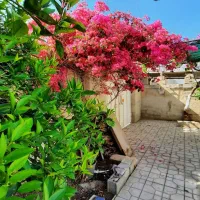 خونه-ی-ویلایی-اجاره-داده-می-شود