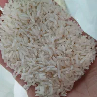 برنج هاشمی سورتینگ شده