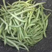 خیار|خوردنی و آشامیدنی|آبکوه, |دیوار