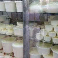 نیرو تولیدی خانوم