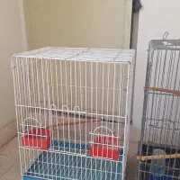 قفس