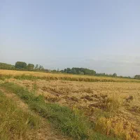 زیر-قیمت-2000متر-بیجار-خوش-محصول-کیا-شهر