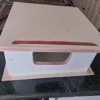 لانه‌ی گربه و پت خارجی