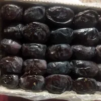 خرما کتابی