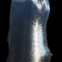 هیزه روغن