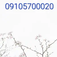 سیم کارت بیلبوردی... 09105700020 منتخب آدم های خاص