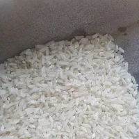 برنج لاشه هاشمی آستانه اشرفیه