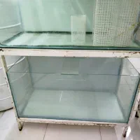 آکواریوم