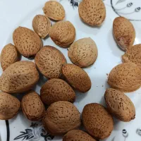 بادام