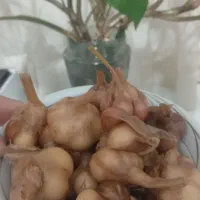 ترشی سیر
