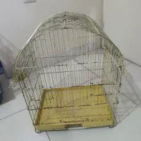 قفس