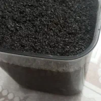 سبزی قورمه ای محلی سرخ شده
