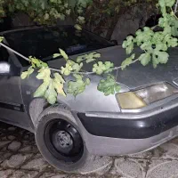 زانتیا  ۱۸۰۰ درجه ۱
