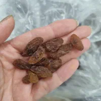 مویز هسته دار کشمش سبز .زرشک عناب