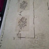 فرش 6 متری