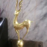 غزال و آناناس طلایی