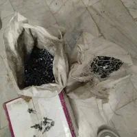پیچ سرمته