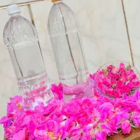 گلاب اصیل