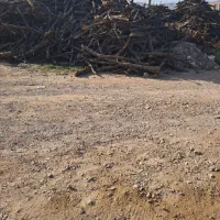 چوب|خدمات باغبانی و درختکاری|زرگرشهر, |دیوار