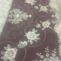 2عدد قالی 12متری
