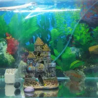 فروش اکواریوم با تمام لوازم