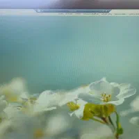 استخدام نیروی انبارداروفروش