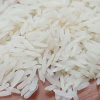 برنج طارم فجر