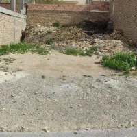 زمین خیابان ولی عصر 244متر