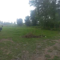 فروش ۲۱۳متر زمین مسکونی سنگر