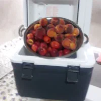 یخچال ماشین
