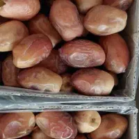 خرمای زاهدی میناب
