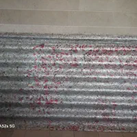 ایرانت شانی موجدار