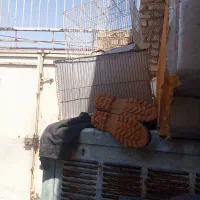 سلام‌فروش‌6عدد‌قفسه‌پرنده